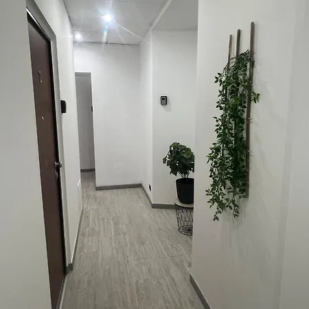 Morena روما